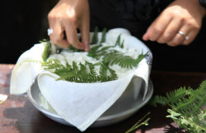 Il cibo sardo allunga la vita: su casu axedu e su casu in filixi