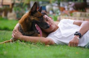 Proprietari di cani, multe in arrivo | Le disposizioni estive sono più rigide