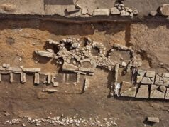 Mont’e Prama, nuovo scavo archeologico in arrivo