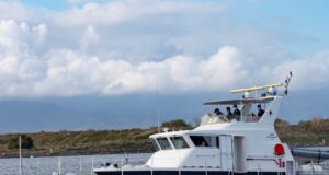 Chia, nella notte sono sbarcati 17 migranti: due sono minorenni