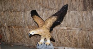 Furto natalizio a Stintino: rubate due statue del presepe