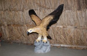 Furto natalizio a Stintino: rubate due statue del presepe