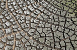 Fertilizzanti dai fanghi di risulta: avanza il progetto Cirem-Crenos da 2,4 milioni