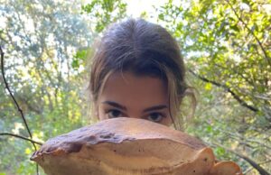 Funghi: porcino da record trovato nel nord Sardegna