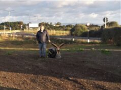 Stintino, ritrovati l’aquila e l’agnellino rubati dal presepe
