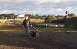 Stintino, ritrovati l’aquila e l’agnellino rubati dal presepe