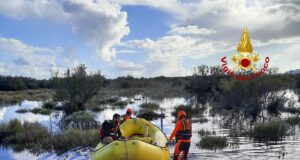 Porto Corallo, venti pecore salvate dai Vigili del Fuoco