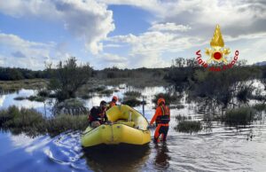 Porto Corallo, venti pecore salvate dai Vigili del Fuoco