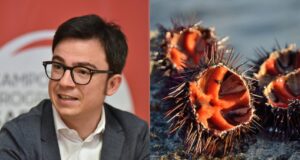 Pesca dei ricci, Agus (Progressisti): “Senza controlli il blocco non servirà”