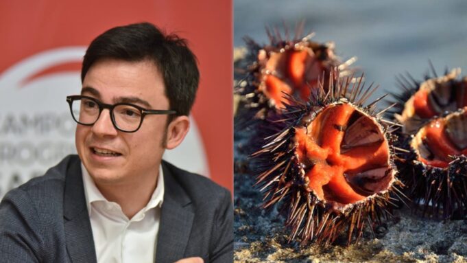 Pesca dei ricci, Agus (Progressisti): “Senza controlli il blocco non servirà”