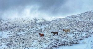 Maltempo: nell’isola nuova allerta per neve e ghiaccio fino a lunedì