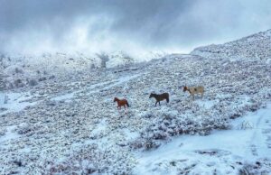 Maltempo: nell’isola nuova allerta per neve e ghiaccio fino a lunedì