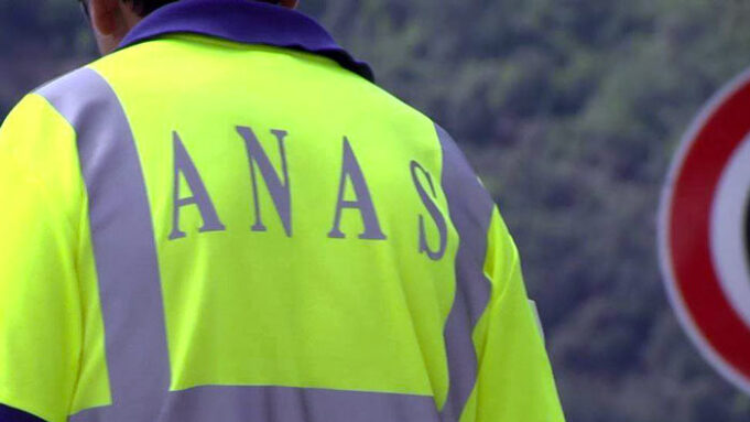 Cade un albero sulla carreggiata, chiusa la statale 295