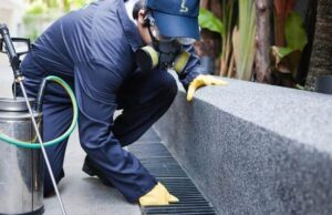 Cagliari, derattizzazione in città giovedì 18 novembre