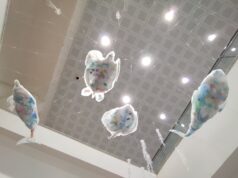 La foto | L’aeroporto di Olbia e quell’acquario che fa pensare