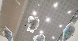 La foto | L’aeroporto di Olbia e quell’acquario che fa pensare