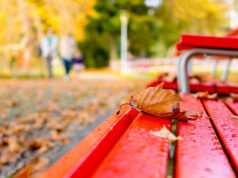Violenza sulle donne, domani si inaugura la “panchina rossa” a Monte Claro