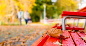 Violenza sulle donne, domani si inaugura la “panchina rossa” a Monte Claro