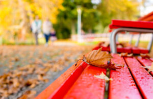 Violenza sulle donne, domani si inaugura la “panchina rossa” a Monte Claro