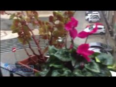 Nubifragio nel Cagliaritano | strade allagate e crolli | La situazione