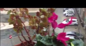 Nubifragio nel Cagliaritano | strade allagate e crolli | La situazione