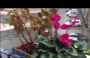 Nubifragio nel Cagliaritano | strade allagate e crolli | La situazione