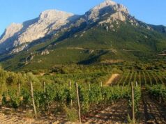 Congresso Paesaggi storici italiani, la Sardegna compete con il Mandrolisai