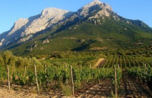 Congresso Paesaggi storici italiani, la Sardegna compete con il Mandrolisai