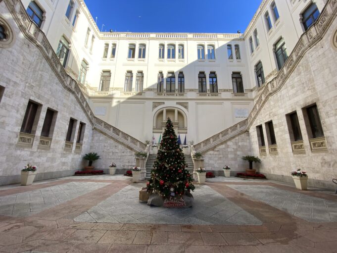 L’albero di Natale a Palazzo Bacaredda | Simbolo di speranza per la città