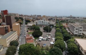 “Giù le mani dai ficus di viale Trieste”, raccolte oltre 14mila firme