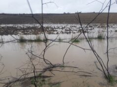 Nubifragio nel Sud Sardegna, il sindaco di Mandas: “Situazione disastrosa”