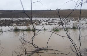 Nubifragio nel Sud Sardegna, il sindaco di Mandas: “Situazione disastrosa”