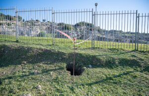 Parco di Tuvixeddu: scoperta una cavità ipogeica