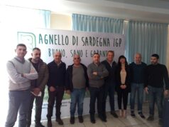 Consorzio Agnello di Sardegna: Cualbu confermato presidente