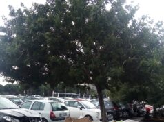 Brotzu: i parcheggi esterni sono una discarica a cielo aperto