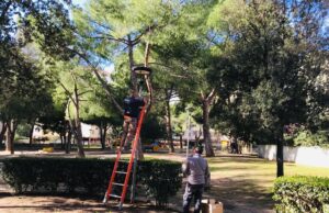 Su Planu, oltre trenta nuove telecamere per una maggiore sicurezza