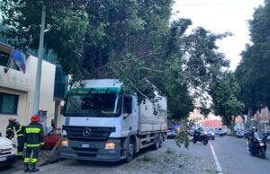 Viale Trieste, albero pericolante | Ramo precipita su un camion
