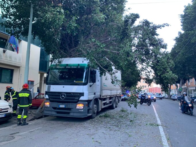 Viale Trieste, albero pericolante | Ramo precipita su un camion