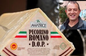 Pecorino Romano Dop, 7 anni per riconvertire | I pastori insorgono
