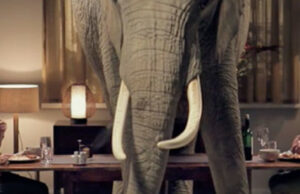 L’elefante nella stanza | Convivere con il Covid, rifondare il sistema sanitario