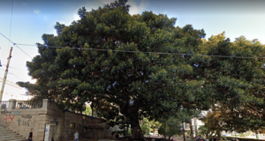 Piazza Ingrao come “piazza modello” di Cagliari | Come riqualificare?