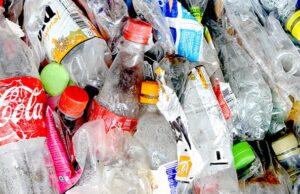 Abbandono di rifiuti, denunciato imprenditore commerciale a Sant’Elia