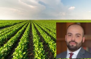 Agricoltura, Manca (M5S): “Contro caro-prezzi immediata liquidità da Ismea”