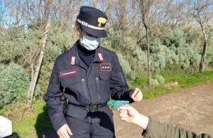 Cardellini, merli e fringuelli in terrazza: denunciato per bracconaggio
