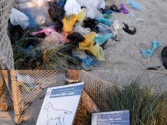 Area cani al Poetto, la denuncia degli ambientalisti: “È in totale abbandono”