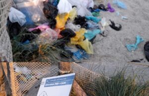 Area cani al Poetto, la denuncia degli ambientalisti: “È in totale abbandono”