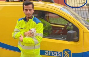Gattino abbandonato sulla Sulcitana salvato dall’Anas