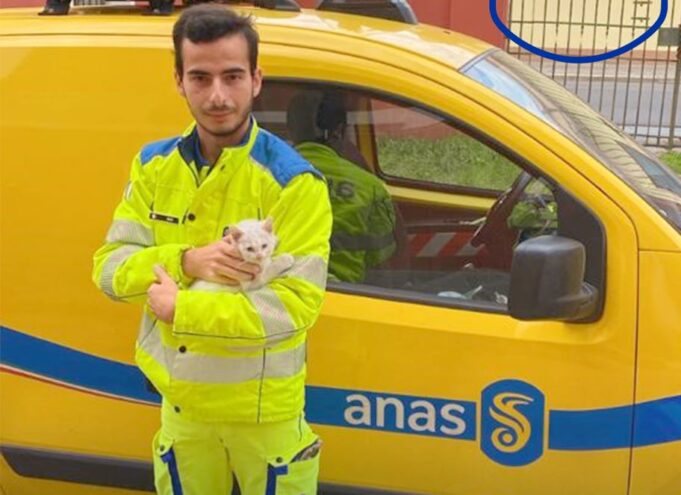 Gattino abbandonato sulla Sulcitana salvato dall’Anas