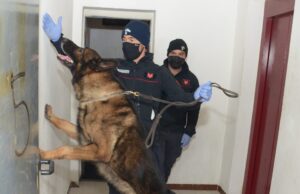 Vende farmaco stupefacente, denunciato 31enne cagliaritano