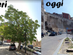 Cammino Nuovo: tagliati gli alberi sempreverdi | Ambientalisti all’attacco